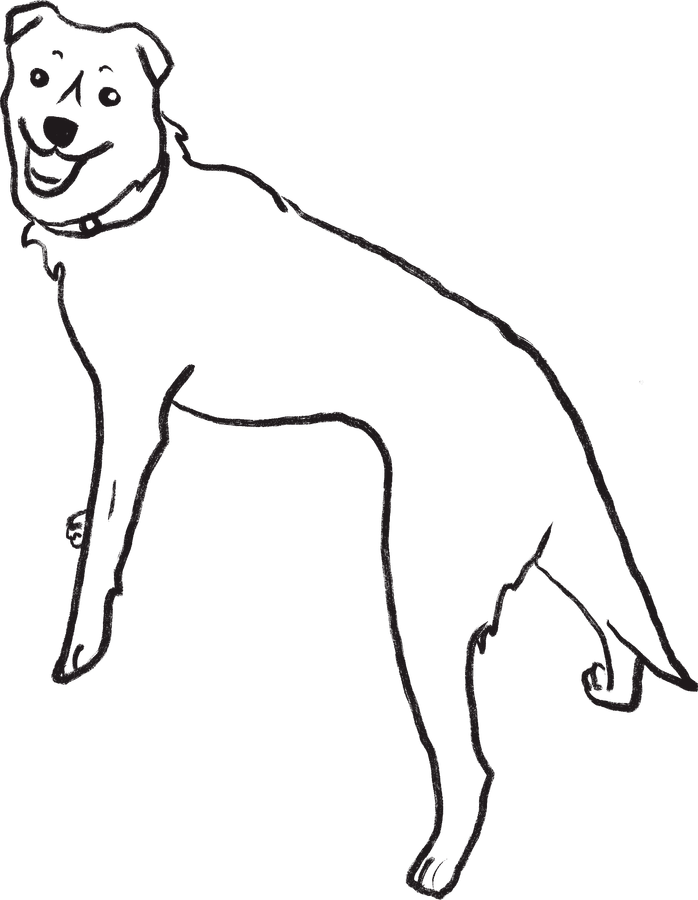 振り返っている犬の線画